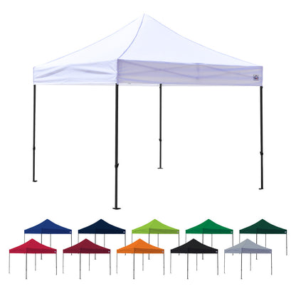 10x10 DS Canopy